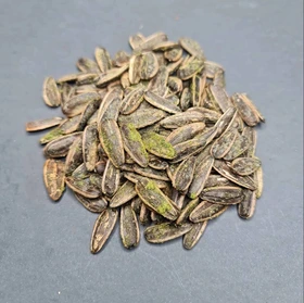 تخمه افتاب گردان پیاز جعفری | خرید عمده و قیمت مناسب